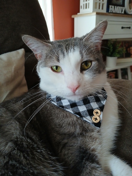 Entry image for Slash Borrero. Clicking this image will show a larger photo