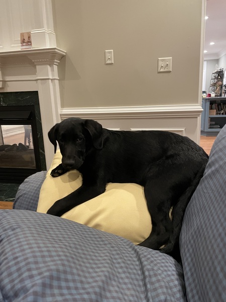 Entry image for Storm. Clicking this image will show a larger photo