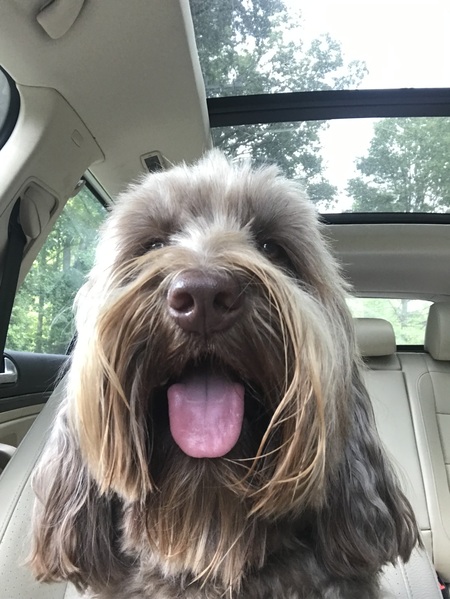 Entry image for August . Clicking this image will show a larger photo