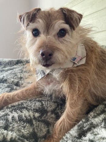 Entry image for Tango. Clicking this image will show a larger photo