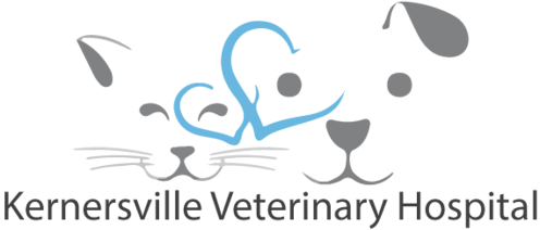 Kernersville Veterinary Hospital