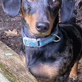 Entry image for Gunner