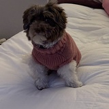 Entry image for Evie