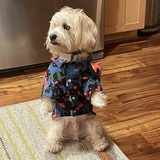 Entry image for Harry