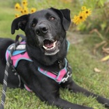 Entry image for Maui