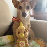 Entry image for Hector "the bone collector"