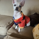 Entry image for Rubin