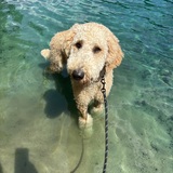 Entry image for Granger 