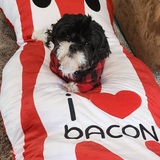 Entry image for Princess