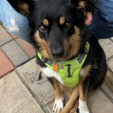 Entry image for Cammie