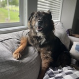 Entry image for Gantu