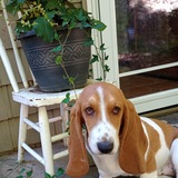 Entry image for Maggie Mae 