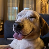 Entry image for Xyla