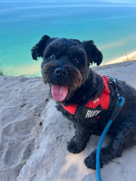 Entry image for Ruby. Clicking this image will show a larger photo