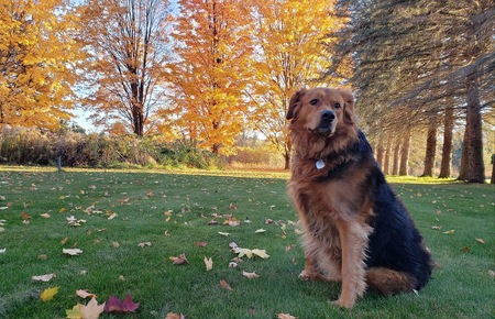 Entry image for Gemma. Clicking this image will show a larger photo