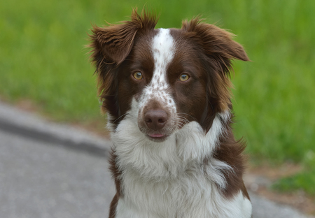 Entry image for Sheena. Clicking this image will show a larger photo