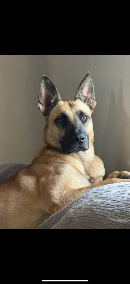 Entry image for Gemma. Clicking this image will show a larger photo