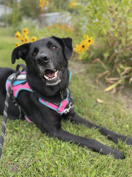 Entry image for Maui. Clicking this image will show a larger photo