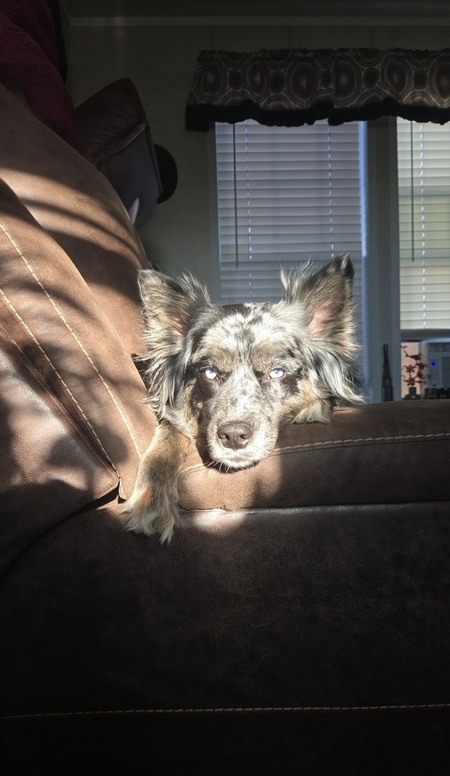 Entry image for Raven. Clicking this image will show a larger photo