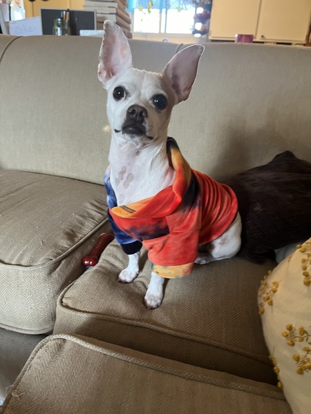 Entry image for Rubin. Clicking this image will show a larger photo