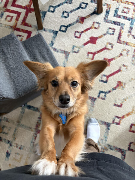 Entry image for Simon. Clicking this image will show a larger photo