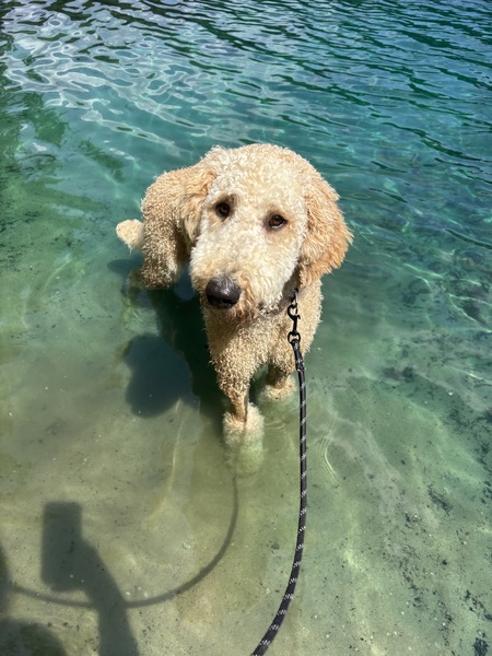 Entry image for Granger . Clicking this image will show a larger photo