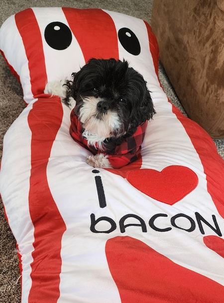 Entry image for Princess. Clicking this image will show a larger photo