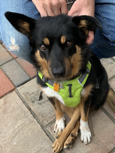 Entry image for Cammie. Clicking this image will show a larger photo