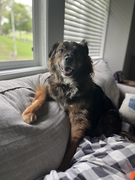 Entry image for Gantu. Clicking this image will show a larger photo