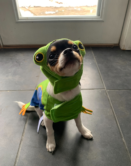 Entry image for Butter. Clicking this image will show a larger photo