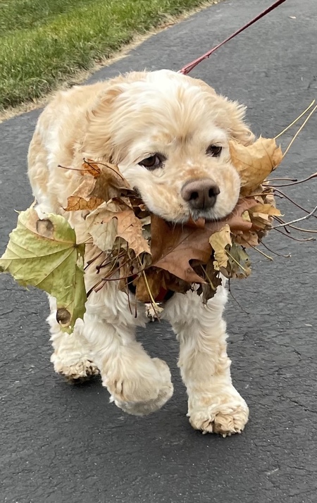 Entry image for Bruce. Clicking this image will show a larger photo