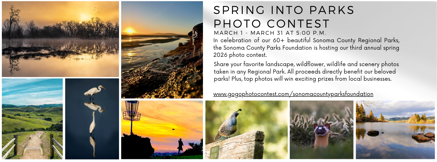 Banner for Spring into Parks