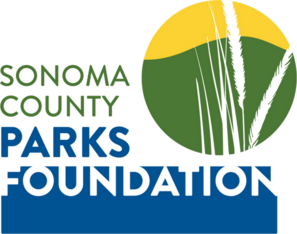 Logo for Spring into Parks