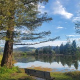 Entry image for Saturday at Spring Lake