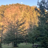 Entry image for Early Moon