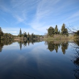 Entry image for Point of reflection 