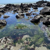 Entry image for Doran