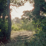 Entry image for Helen Putnam Regional Park