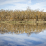 Entry image for Riverfront Reflections