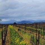 Entry image for Riverfront layers