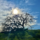 Entry image for Clouds Over Crane