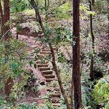 Entry image for Monte Rio regional park. 