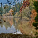 Entry image for Fall Colors at Spring Lake
