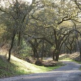 Entry image for The Well-Trodden Sonoma Valley Regional Path