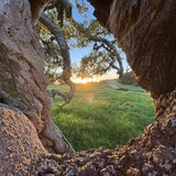 Entry image for Let the light in 