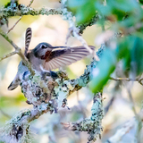 Entry image for Mom the Builder