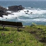 Entry image for A Seat on the Sonoma Coast