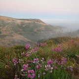 Entry image for Late Summer Sonoma Coast
