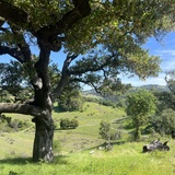 Entry image for First day of Spring at Shiloh