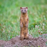 Entry image for All in a Days Work